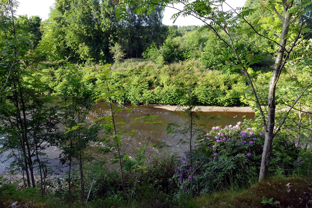 Clifton Country Park