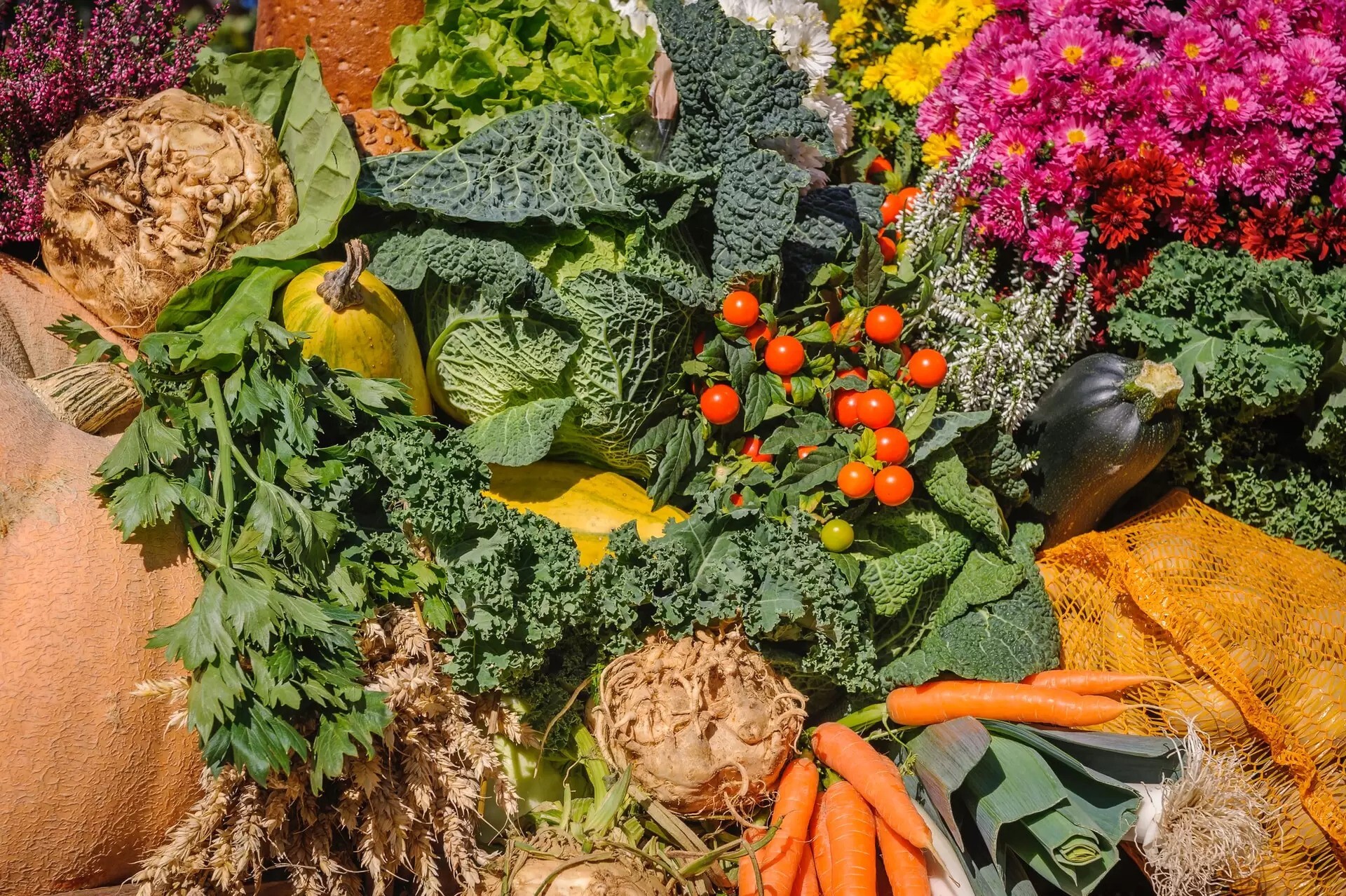 Picture: Variety of vegetables