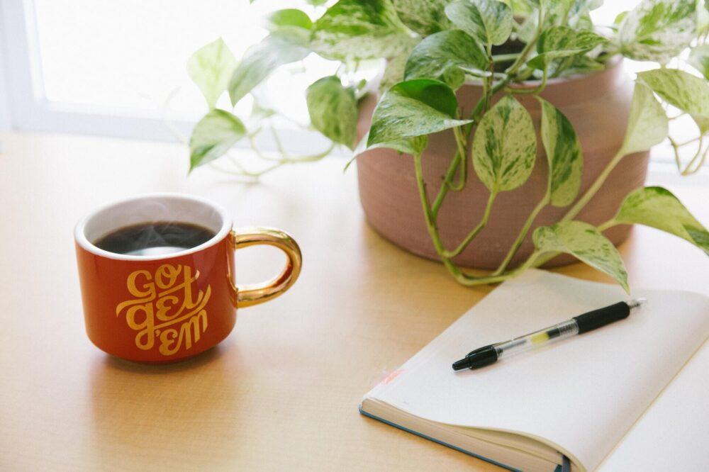 Mug, notebook and plant